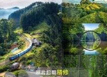 欢乐电玩城舞会森林-欢乐电玩城舞会森林，一场梦幻般的冒险之旅